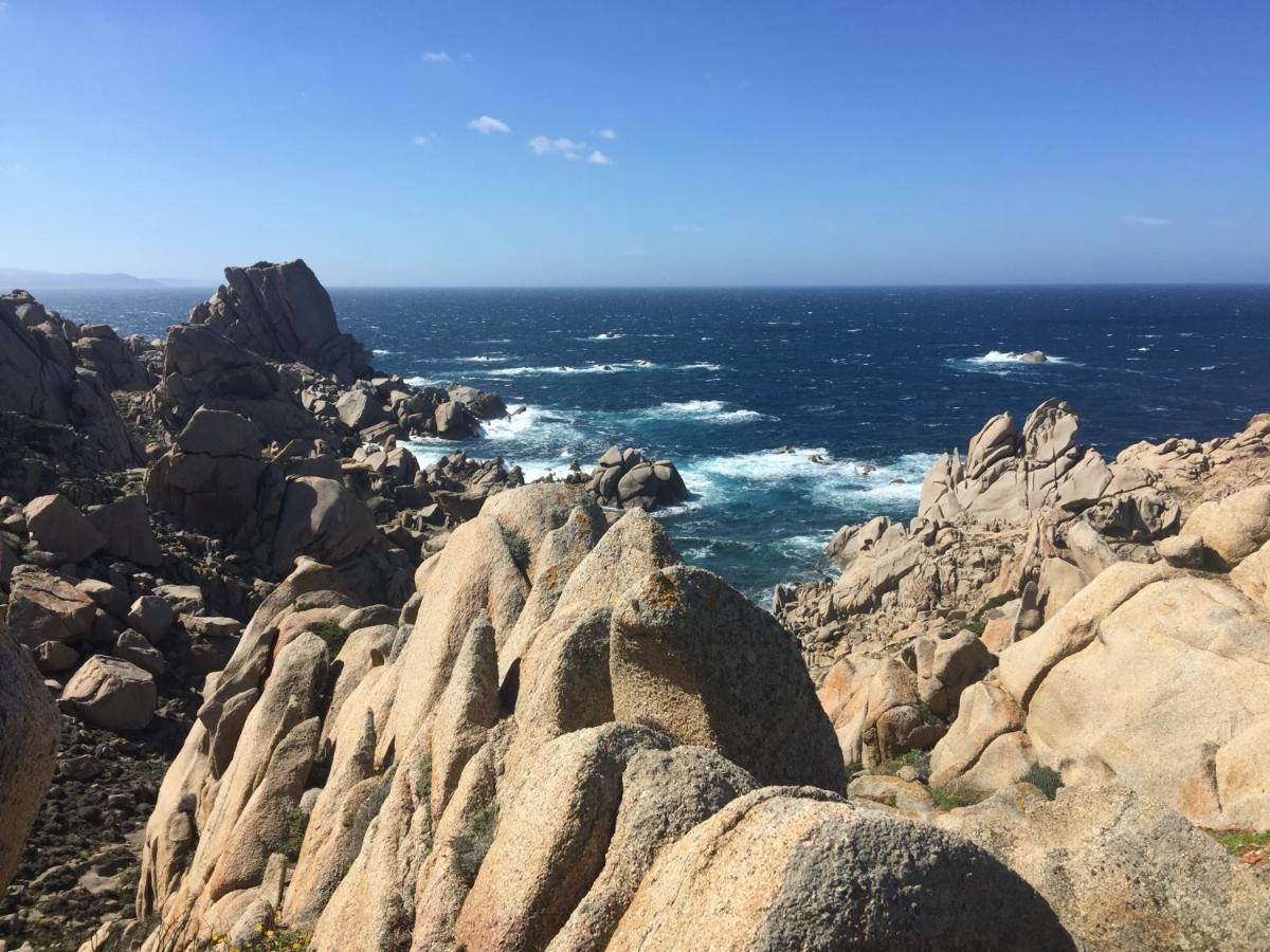 فيلا Carrabean Sea In The North Of Sardegna, With Swimming Pool Viddalba المظهر الخارجي الصورة