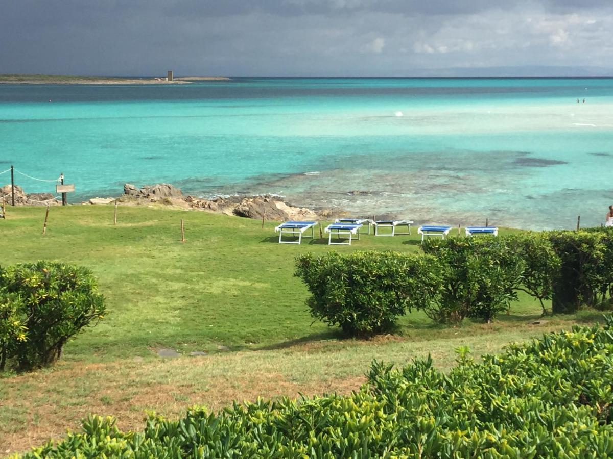 فيلا Carrabean Sea In The North Of Sardegna, With Swimming Pool Viddalba المظهر الخارجي الصورة