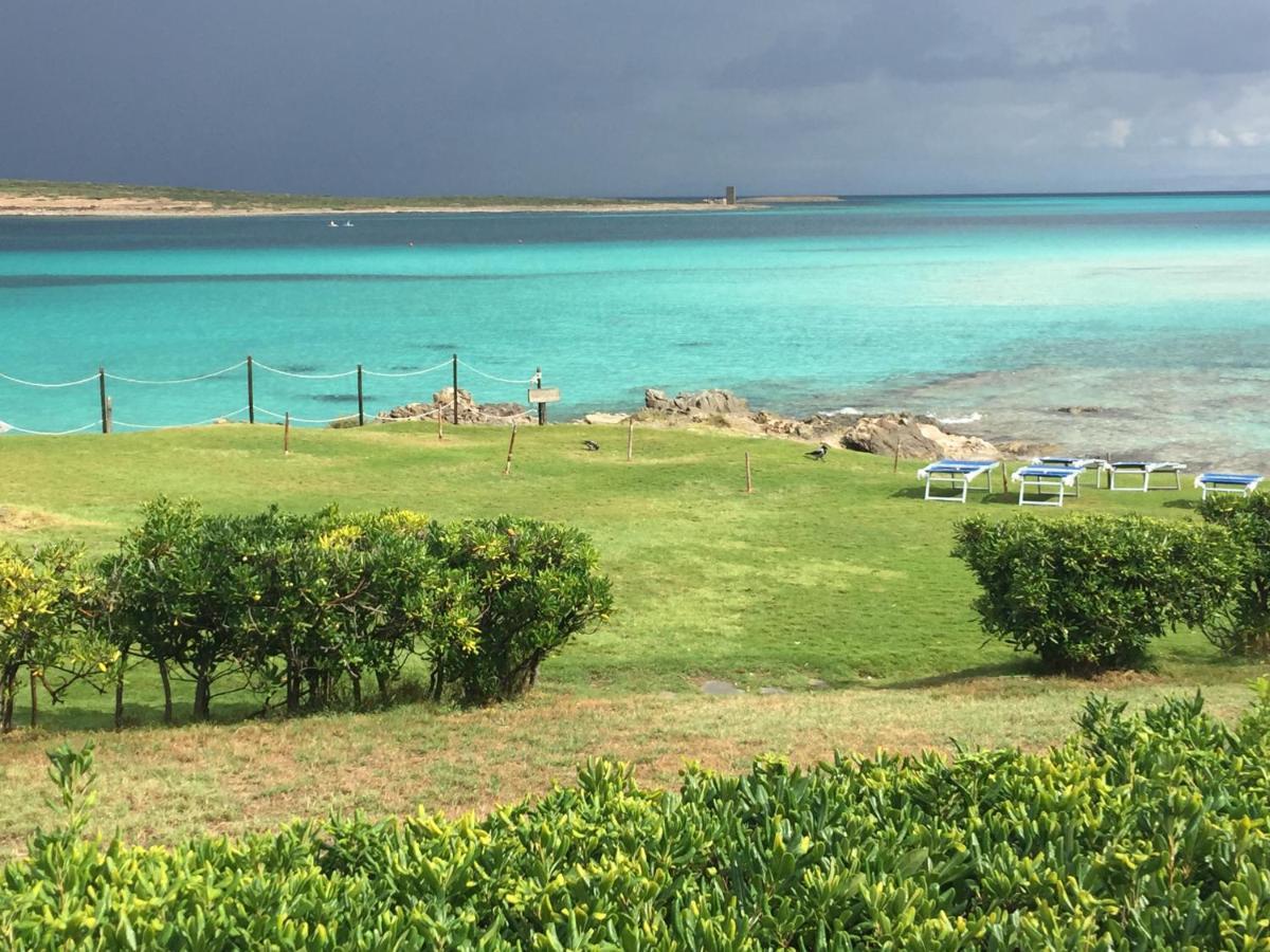 فيلا Carrabean Sea In The North Of Sardegna, With Swimming Pool Viddalba المظهر الخارجي الصورة
