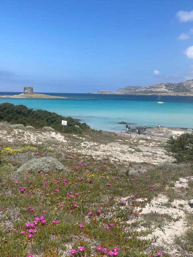 فيلا Carrabean Sea In The North Of Sardegna, With Swimming Pool Viddalba المظهر الخارجي الصورة